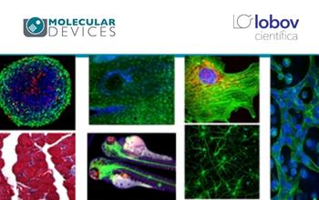 Soluciones para imágenes celulares automatizadas en la investigación del cáncer